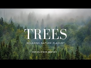 Trees-Relaxing Nature Playlist