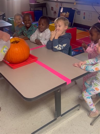 Harmony Elementary School on Reels