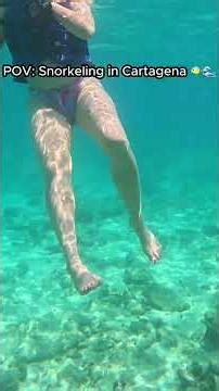 POV: Snorkeling the Rosario Islands in Cartagena 🇨🇴🐠