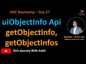 LWC Bootcamp Day 27 | getObjectInfo | getObjectInfos