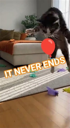 Cat vs Balloons Infinite Loop