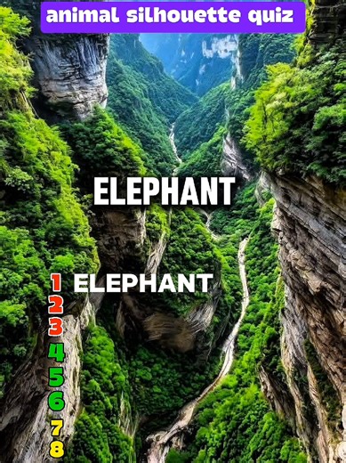 Challenging Animal Silhouette Quiz for Animal Lovers