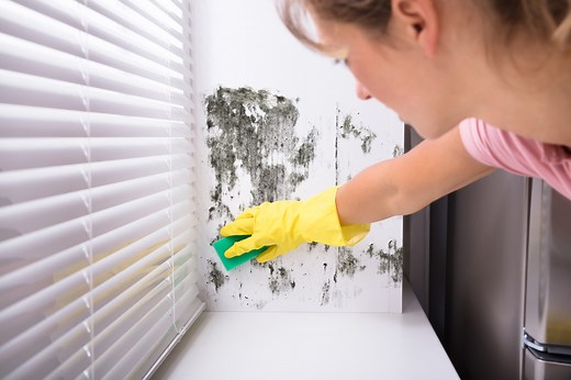 9 Cleaning Solutions to Get Mildew Out of Any Surface