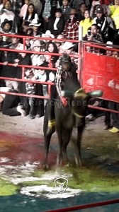 QUE CHULADA DE MONTA LE HIZO EL GORRION JR AL SIETE PECADOS DE LOS DESTRUCTORES!! #JaripeoRebelde | Jaripeo Rebelde