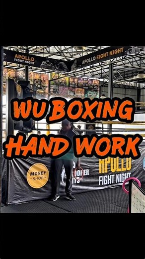 Kung Fu Boxing Head Controls