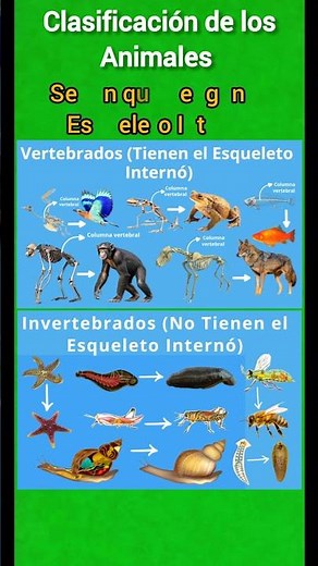Tipos de Clasificación de los Animales #biología #animales