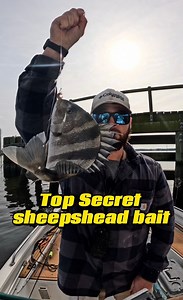 135 reactions · 21 comments | Fishing tips for an easy to find sheepshead bait. #FishingTips #fishingtipsandtricks #fishinglife #sheepshead | Cody Taylor | Facebook