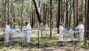 Quebec university to open country’s first ‘body farm’ research site - University Affairs