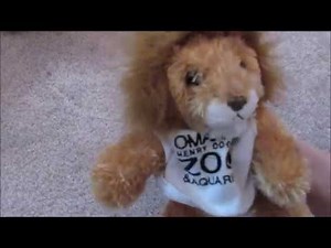 HUGE Stuffed Animal Collection-Part 2- Domestic and Wild Cats
