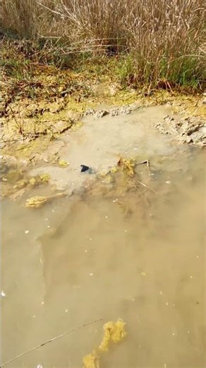 Underwater JBL Bass Test 😱