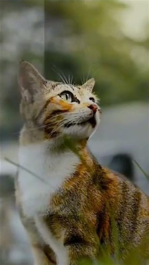 Photo-cinematic image editing in blender 3d.