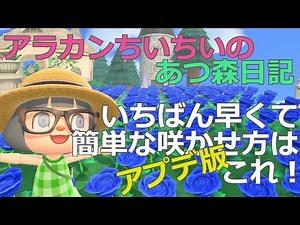 【あつ森】アラカンゲーマーの青バラ交配チャレンジ~一番早くて簡単な咲かせ方はこれ！アプデ版