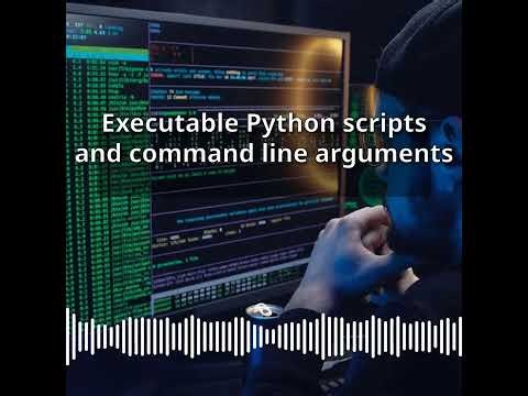 Executable Python scripts and command line arguments | CyberSecurity & DevSecOps Expert:...