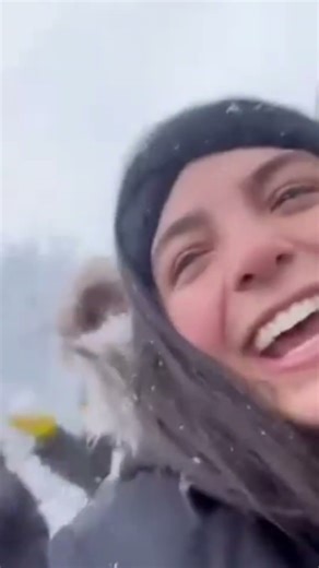 Someone made a SNOWBALL NUKE #dailyclips #funny