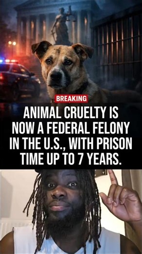 The U.S. Pact Act makes certain extreme animal cruelty, punishable by utpo 7 years in prison.