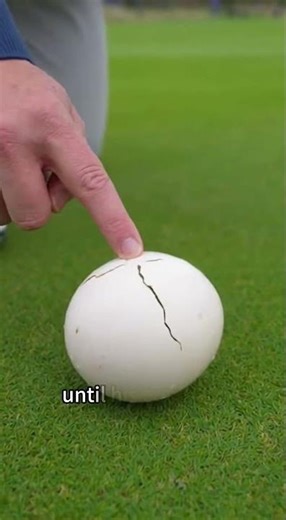 When your golf ball suddenly turns into a chicken.