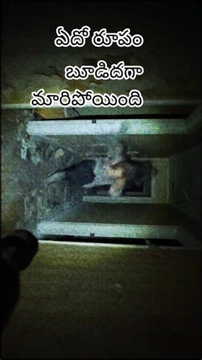Hunting17#tnhsrealandthrilling #horror #horrorghost #ghostshorts #scary #scaryshorts #ghoststories