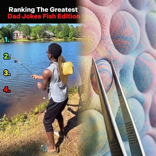 Ranking The Greatest Dad Jokes Fish Edition