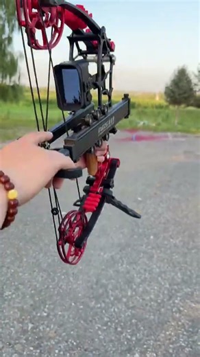 🎯 Insane Compound Bow Precision Shot | Ultimate Archery Skills!