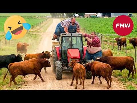 Try Not To Laugh 🤣 Top 100 Funniest Videos Ever 😂 | Funny Videos Compilation 2026 #116