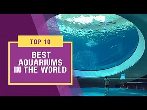 Top 10 best aquariums in the world