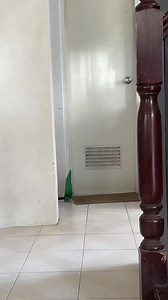 Next time general cleaning na pagong😂 #petsinsanity #leodatortoise #tortoise #sulcata #pasaway #exoticpets #reptiles #fypviralシ #virals #pets | Pets Insanity