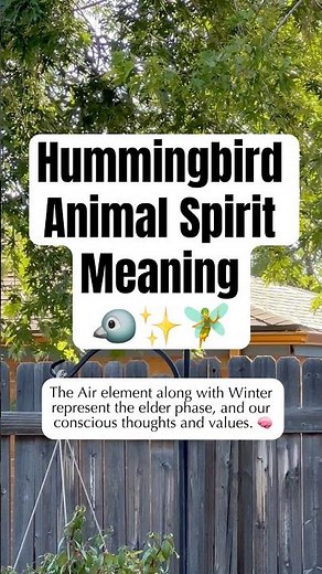 Hummingbird Animal Spirit Meanings