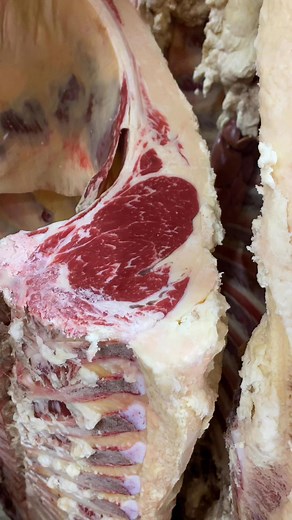 It’s finally Grading Friday! Fridays are grading days at Hampton’s, where a USDA grader will come to grade our USDA Certified beef. The team at Hampton Premium Meats is so knowledgeable, and we learned so much about the grading process. We are grateful to have this local resource and we can’t wait to share more about our visit at Hampton’s later. Our beef is dry aged USDA Choice and we still have some custom selections available for you! Whole Beef $8.00/lbs Side of Beef $8.50/lbs #kyproud #kypr