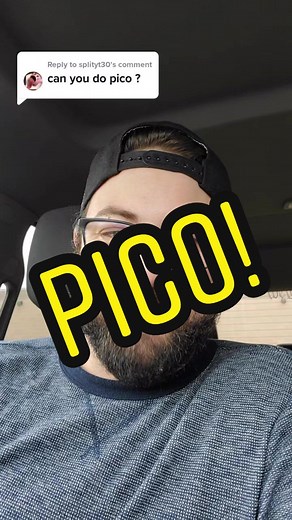 Pico Voice Impressions and Actor Revelations