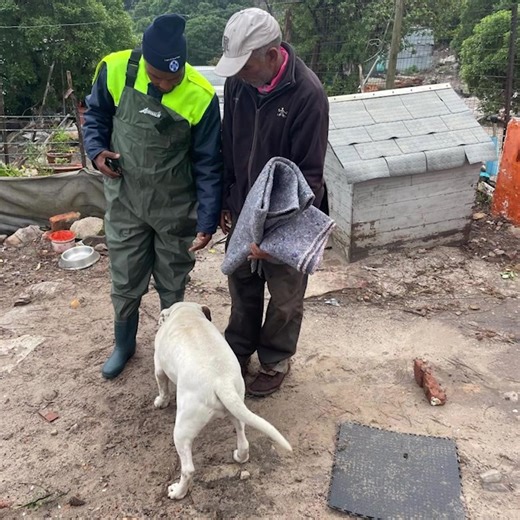 🚨 SPCA Continues to Mobilize Efforts to Protect Animals Amid Severe Weather Conditions ⛈ As Cape Town continues to battle with severe storms, including strong winds, heavy rain, and widespread flooding, the Cape of Good Hope SPCA has taken proactive steps to ensure the safety and well-being of animals across the region. With numerous animals displaced by the harsh weather or stranded, the Cape of Good Hope SPCA has ramped up its efforts, implementing a series of measures designed to offer immed