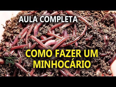 Worm Farming, Humus: How to Make It in a Mini Course with Important Tips from Ricardo Minhoca