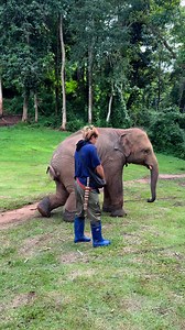 1.5M views · 27K reactions | Bank Mahout on Reels | Facebook