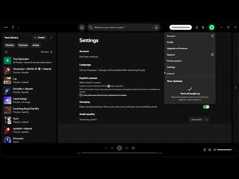 How to Create DJ like Effect on Spotify [Windows]