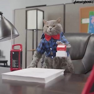 Celebrate this Friday with Michael! | Aaron's Animals