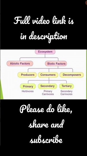 Ecosystem | Structure of an ecosystem |