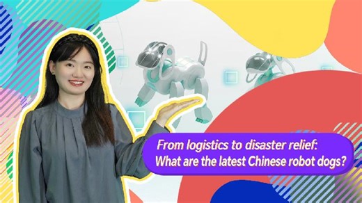 From logistics to disaster relief: What are the latest Chinese robot dogs?