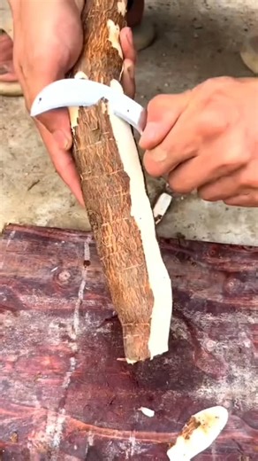 Prepping veggie roots with a farming tool! 凌望 Tough, efficient, and earthy. ✨ . . . #farmming #tool #root #vegetables | Farming With Sharp Knife | Facebook