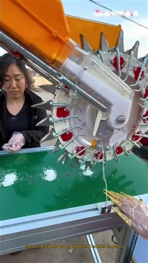 How Seed Planting Machines Work! 🌱✨