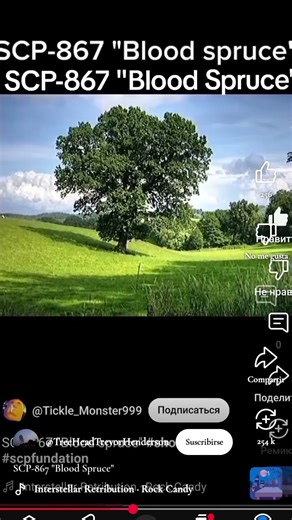SCP 867 Blood Spruce