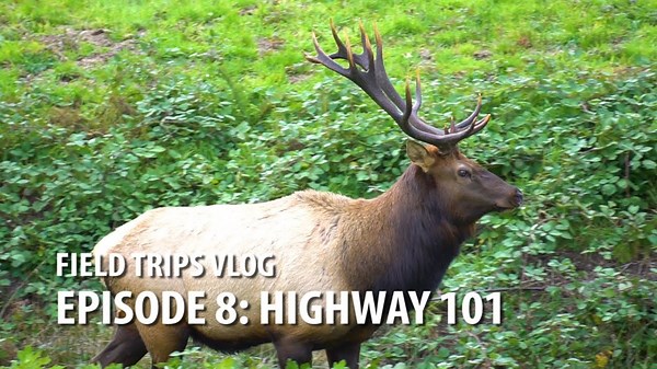 Epic Oregon Coast Adventure - Exploring Hwy 101 Like Never Before!