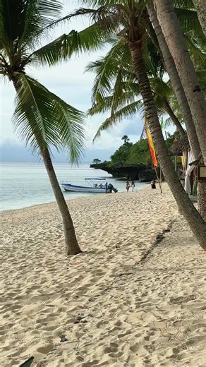 Exploring the lovely Coco Grove Beach Resort in the island of Siquijor! Gorgeous place! #Leylander #Siquijor #fyp #foryou #foryoupagе