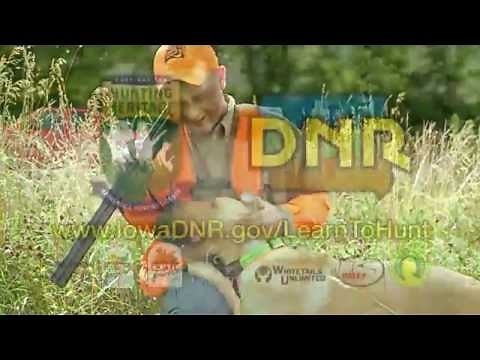Learn to Hunt - Pheasants | Iowa DNR