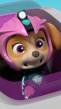 Skye teams up with her mermaid puppy cousin! | Nick Jr. Cyrillic