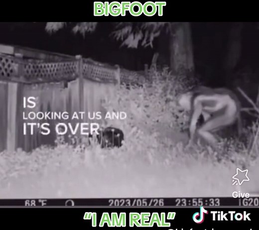 Bigfoot 911 Call #911calls #911 #bigfoot #sasquatch #bigfoot #bigfootiamreal #fy #fyp #foryou #foryoupage