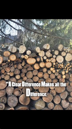 🌳 Before ➡️ After Transformation! Want a cleaner, safer, and more beautiful yard? We handle it all — tree removal, trimming, and complete yard cleanup. ✅ Safe & Professional Service ✅ Full Yard Cleanup ✅ Reliable Results Every Time 📍 Serving Rochester & Spencerport, NY 📞 Call now: 585-317-1711 for a FREE quote ✨ Make your outdoor space look amazing in 2026! #TreeRemoval #TreeCutting #YardCleanup #BeforeAndAfter #TreeService #ProfessionalTreeWork #SafeTreeRemoval #CleanYard #RochesterNY #Spenc