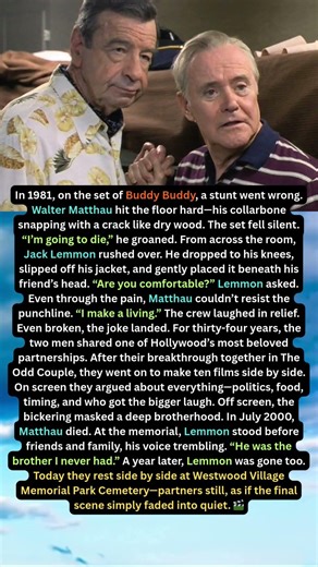 “Hollywood’s Greatest Duo: The Secret Behind Lemmon and Matthau’s 34 Years”