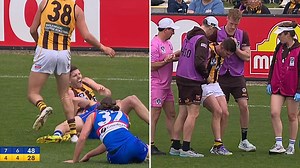 Luke Breust suffers knee injury in VFL