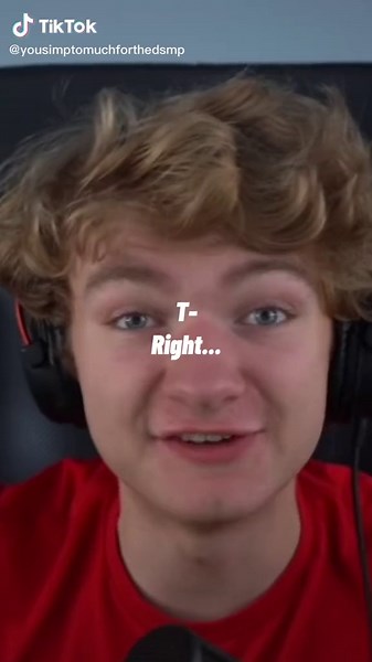 #pov Tommy knows 😏😏 #tommyinnit #dumblol #edit #y/n #streamer #dsmp #obsessed #fy¿ #slyfoxdumbunny