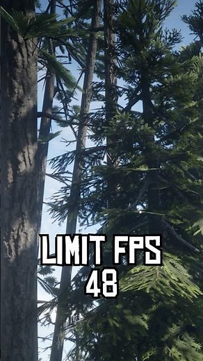This trick helps me to Reduced Ghosting and Flickering issue lsfg 3.1 in Red Dead 2 at 1080p