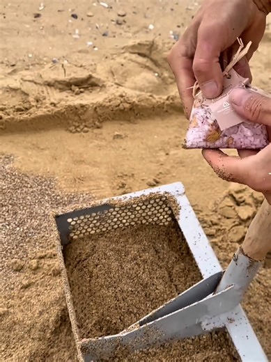 Treasure Hunting Tips for Beachcombers